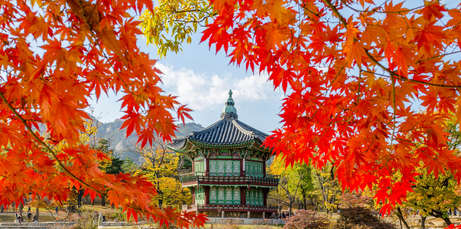 South Korea in Depth